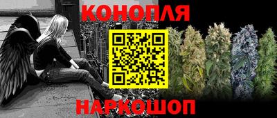 гашик Шахты