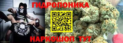 дживик Шелехов