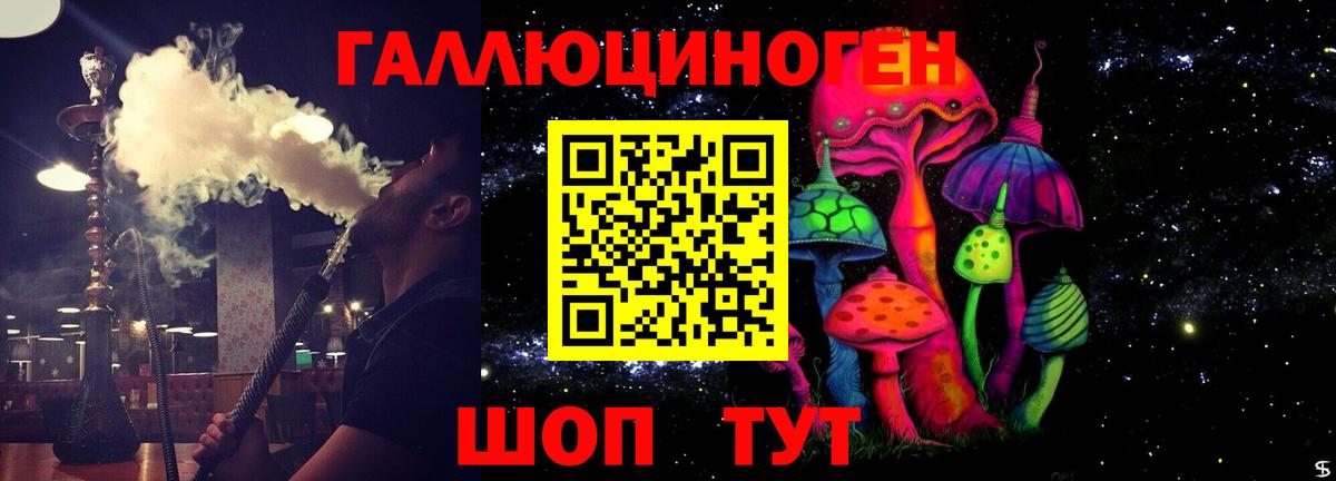 Богданович  Галлюциногенные грибы Magic Shrooms  Вход с VPN 
